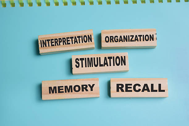 istock Concept of 5 processes of perception. Interpretation, organization, stimulation, memory, recall write on sticky notes isolated on Wooden Table. 2241069332