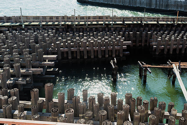 Weathered wooden pilings and dock remnants standing in sunlit aqua water, creating rustic repeating patterns and calm reflections on a sunny day