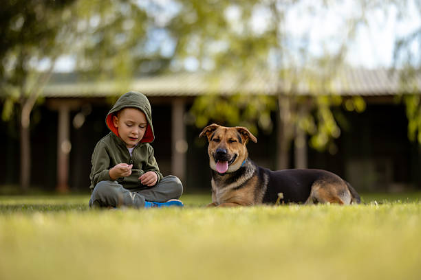 A sweet little brunette haired girl plays with her dog in a field of tall grass as they spend time outside together.  She is dressed casually and is petting the dog as he sits beside her.