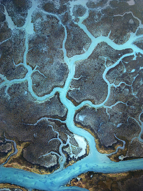istock Natural Delta Patterns from Above, Aveiro Lagoon, Portugal 2241073818