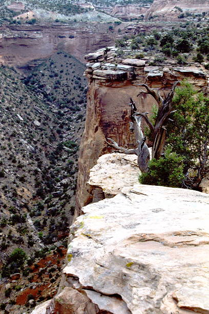 A 1986 slide film image of Colorado National Monument, showcasing dramatic sandstone monoliths rising from the arid canyon floor. The towering spires and layered rock formations are etched with striations shaped by millennia of erosion, glowing in warm analog tones beneath a partly cloudy sky. The vintage film grain adds nostalgic depth to the rugged grandeur, evoking the spirit of mid-80s travel and the timeless power of the American Southwest.