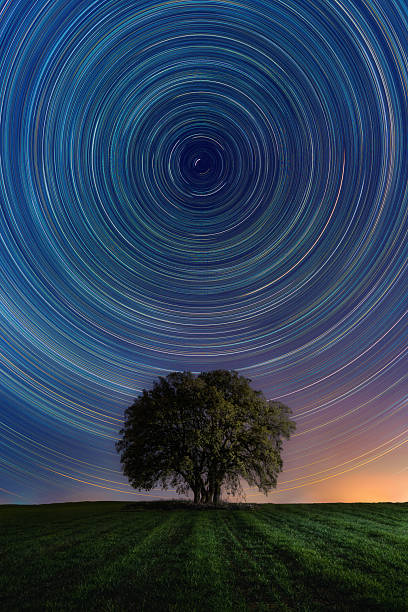istock Star trails around Polaris over a lonely tree in a green field at night 2241077467