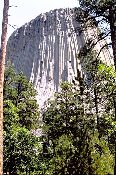 Vintage 1985 slide photograph of Devils Tower, a striking igneous rock formation rising from the pine-covered plains of northeastern Wyoming. Captured in warm, analog tones, the image showcases the tower’s iconic columnar jointing and vertical striations, framed by rugged terrain and conifer silhouettes. This retro landscape evokes a timeless sense of natural wonder and geological grandeur, ideal for editorial, educational, and nostalgic creative use. The composition highlights the monument’s isolation and scale, offering a unique historical perspective on one of America's most recognizable landmarks.