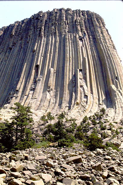 Devils Tower and Pines – 1985 Film Texture
