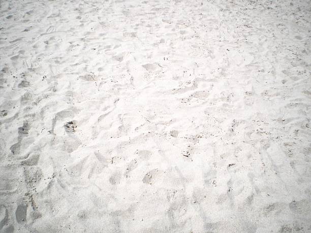 Fine white sand fills the scene, showing a soft and undulating texture commonly found on beaches. The surface is slightly uneven with scattered footprints and occasional small debris, suggesting foot traffic or wind activity. The bright, uniform color highlights the granular consistency typical of coastal areas.