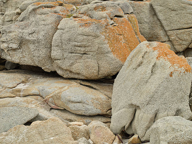 Weathered coastal rocks in South Africa display natural erosion patterns, framed by the vast landscapes of the African coastline, revealing a harmony between the landforms and the passing of time.