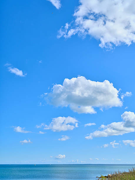Bright blue sky over calm sea at the Danish coast with fluffy clouds and Marram grass along the shore, a tranquil coastal landscape perfect for travel, nature, and wellness themes