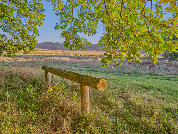 Landscape (Urdenbacher Kämpe near Düsseldorf) along the old riverbed of the Rhine (Old Rhine).