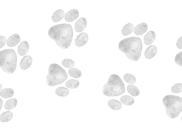 istock Watercolor seamless border with soft gray paw prints in gentle style. Minimal and elegant design for pet fabrics, vet clinics, wrapping paper, or creative dog themed crafts. 2241091589