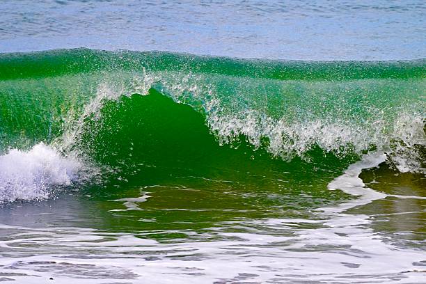 The Central California coast features a variety of terrain from sandy beaches, rocky coastline, forests and rolling hills.The main road is Highway 1, the Pacific Coast Highway.