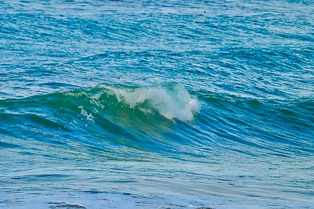 The Central California coast features a variety of terrain from sandy beaches, rocky coastline, forests and rolling hills.The main road is Highway 1, the Pacific Coast Highway.