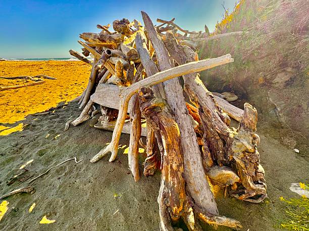 The Central California coast features a variety of terrain from sandy beaches, rocky coastline, forests and rolling hills.The main road is Highway 1, the Pacific Coast Highway.