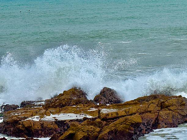 The Central California coast features a variety of terrain from sandy beaches, rocky coastline, forests and rolling hills.The main road is Highway 1, the Pacific Coast Highway.
