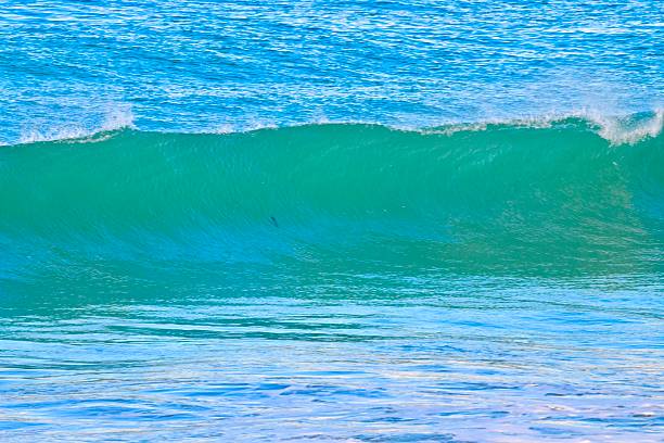 The Central California coast features a variety of terrain from sandy beaches, rocky coastline, forests and rolling hills.The main road is Highway 1, the Pacific Coast Highway.