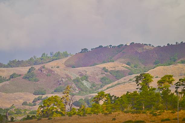 The Central California coast features a variety of terrain from sandy beaches, rocky coastline, forests and rolling hills.The main road is Highway 1, the Pacific Coast Highway.