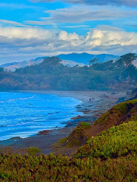 Up the Central California Coast