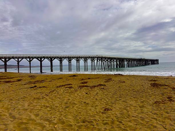The Central California coast features a variety of terrain from sandy beaches, rocky coastline, forests and rolling hills.The main road is Highway 1, the Pacific Coast Highway.