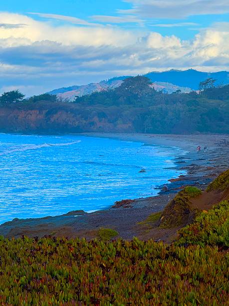istock Up the Central California Coast 2241101706