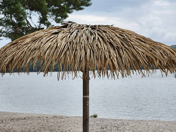 A tranquil thatch umbrella provides ample shade beside a peaceful lake nestled under a cloudy sky overhead