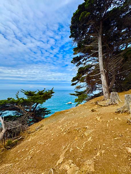 istock Up the Central California Coast 2241101772