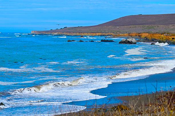 The Central California coast features a variety of terrain from sandy beaches, rocky coastline, forests and rolling hills.The main road is Highway 1, the Pacific Coast Highway.