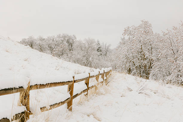 istock Rustic Fence on Snowy Hill Beside Frosty Trees 2241102839