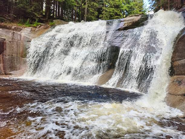 istock A Tranquil Waterfall Nested in a Beautiful Lush Green Forest Setting with Natures Wonders 2241104363