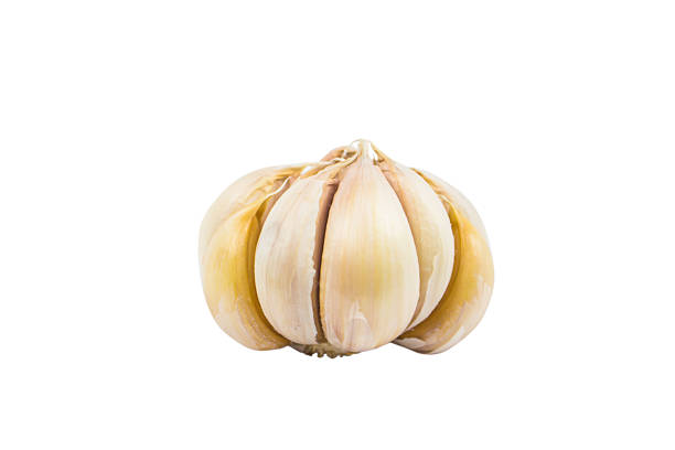 High-resolution image of a whole garlic bulb with embedded clipping path, isolated on white background. The photo highlights natural texture, color, and freshness of the garlic. Ideal for use in food packaging design, digital catalogs, e-commerce, restaurant menus, and advertising materials related to culinary and healthy ingredients.