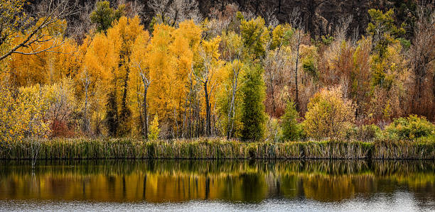 Fall Colors Lakeside stock photo