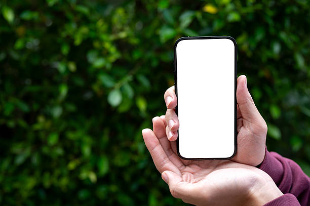 istock Man's hands holding or showing white screen smartphone with green leaves tree garden wall background 2241107020