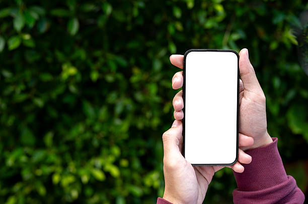 istock A man hands holding or showing blank screen smartphone with green leaves tree garden wall background 2241107027