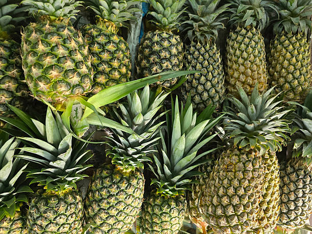 Fresh Pineapples Displayed for Sale at Market Stall