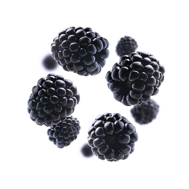 istock Fresh, juicy blackberries levitate on a clean, bright white background 2241112795