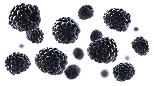 istock Fresh, juicy blackberries levitate on a clean, bright white background 2241112814