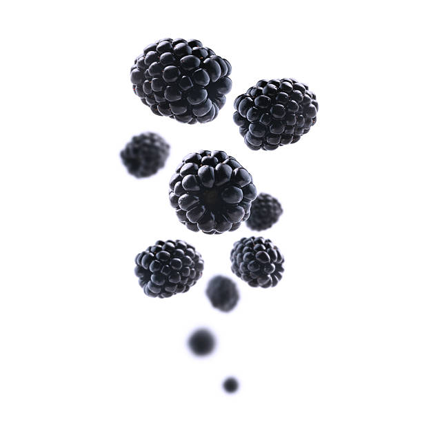 istock Fresh, juicy blackberries levitate on a clean, bright white background 2241112834