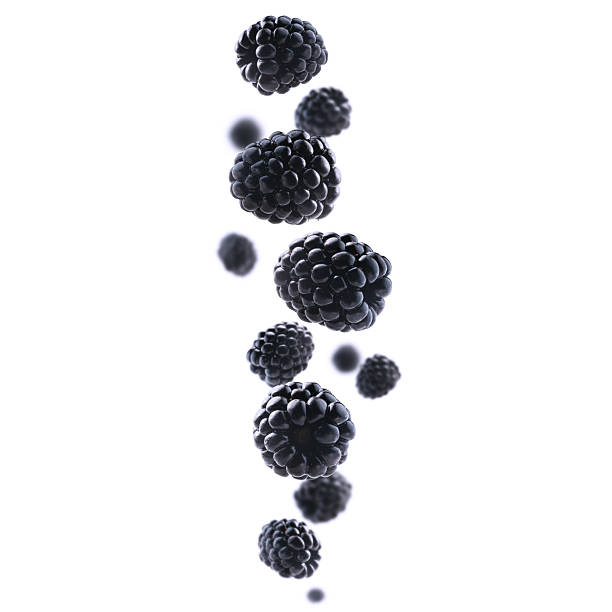 istock Fresh, juicy blackberries levitate on a clean, bright white background 2241112856