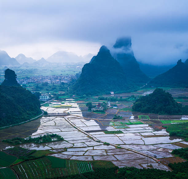 Fog-covered mountains surround rice paddy fields and remote villages.