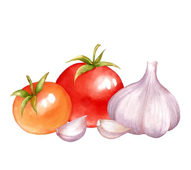 istock Hand-drawn illustration of two ripe tomatoes and whole garlic bulb with cloves 2241117477