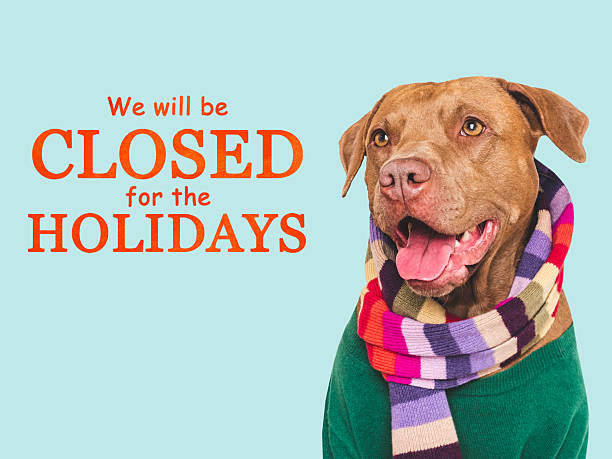 istock We will be closed for the Holidays. Cute dog 2241118467