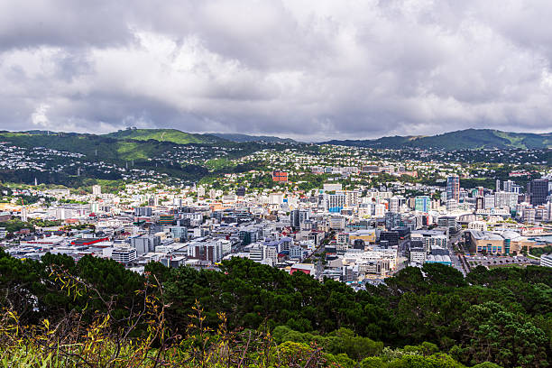 istock Wellington City View from Mount Victoria. 2241121663