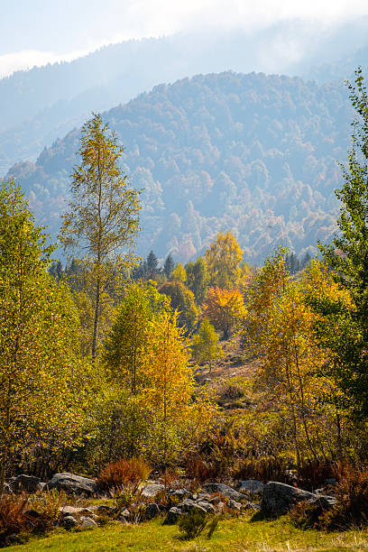 istock Valdilana, Biella , Italy: fall foliage panorama. Color image 2241125932