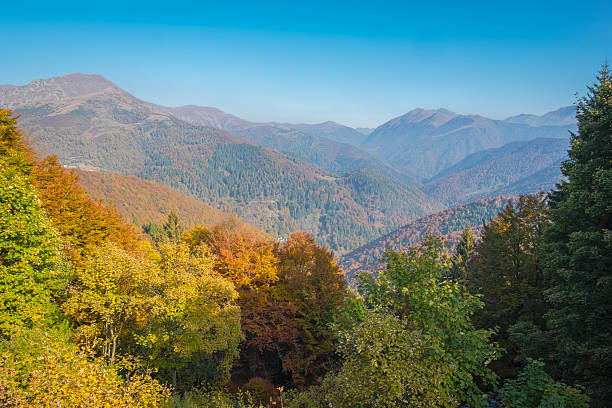 istock Valdilana, Biella , Italy: fall foliage panorama. Color image 2241125963