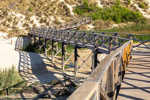 istock In the dunes of Cala Mesquida, Mallorca 2241128609
