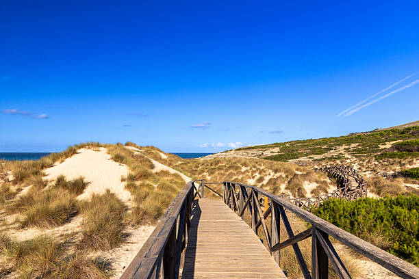 istock In the dunes of Cala Mesquida, Mallorca 2241128640