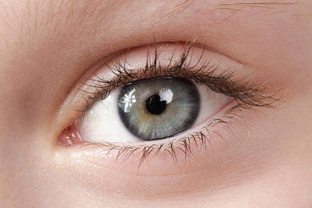 istock Close up view of a blue child eye looking at camera 2241129618