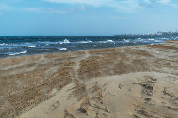 Sand  beach along a sea in a blue cloudy sky in bright sunlight in summer, Walcheren, Zeeland, the Netherlands, July, 2024