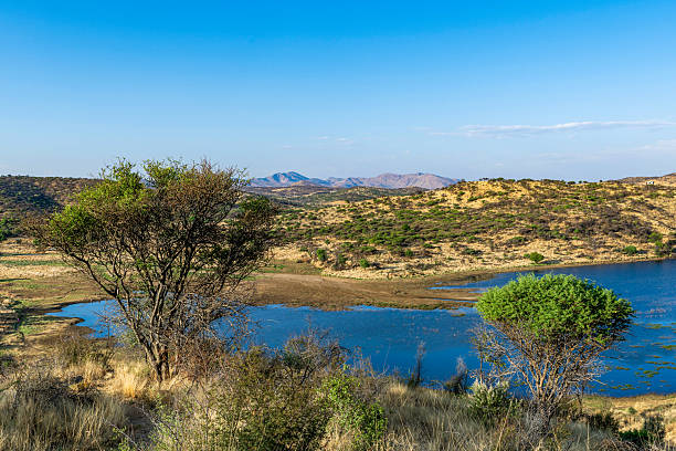 istock Landscape of central Namibia in spring 2241131530