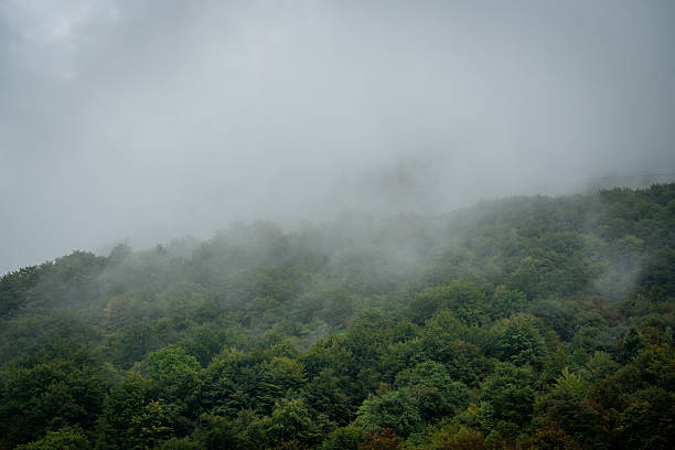 istock Fog Rolling Over Lush Woodland Hills 2241135240