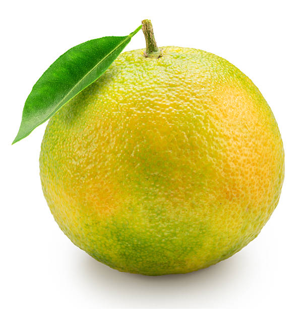 One green tangerine with green leaf isolated on white background. File contains clipping path.