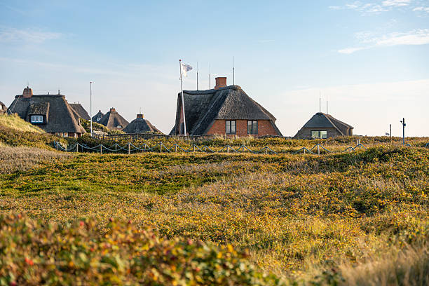istock Red-brick thatched cottages stand among grassy dunes and soft sunlight. 2241139479